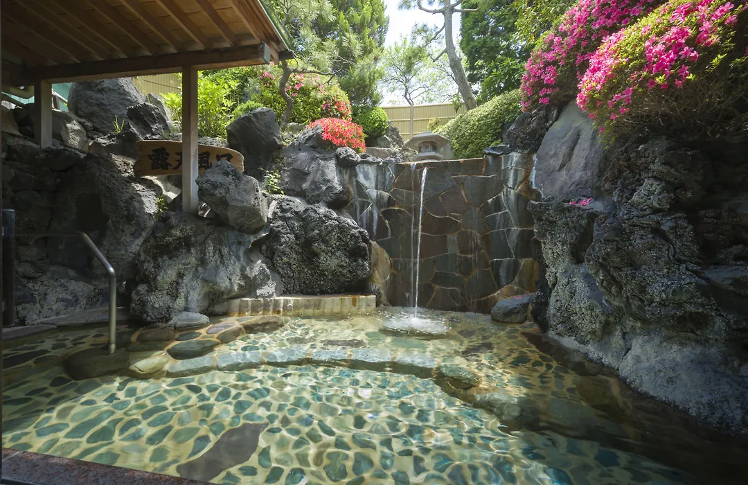 Fujisan Onsen Bessho Sasa-1