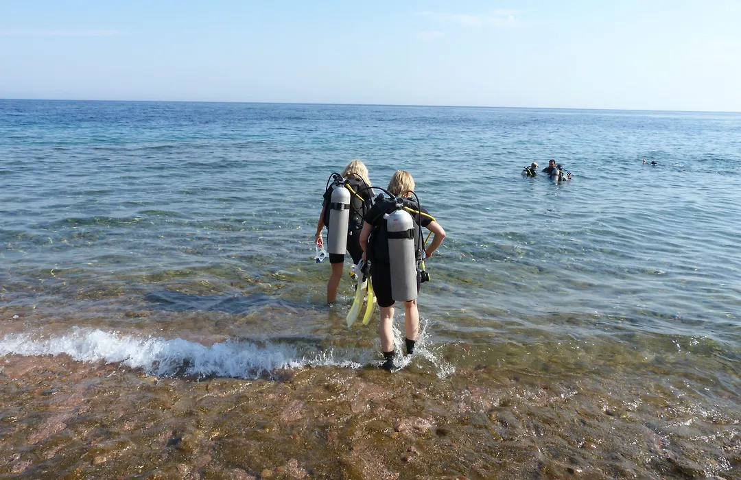 Inmo Divers Home-1