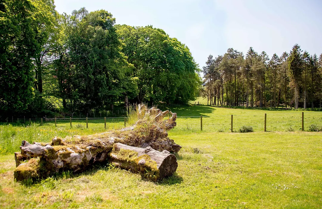 Cornhill Castle-1