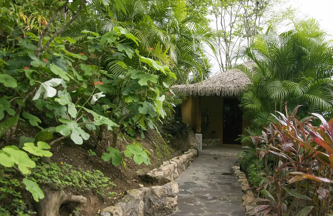 Hotel Vista De Olas-1