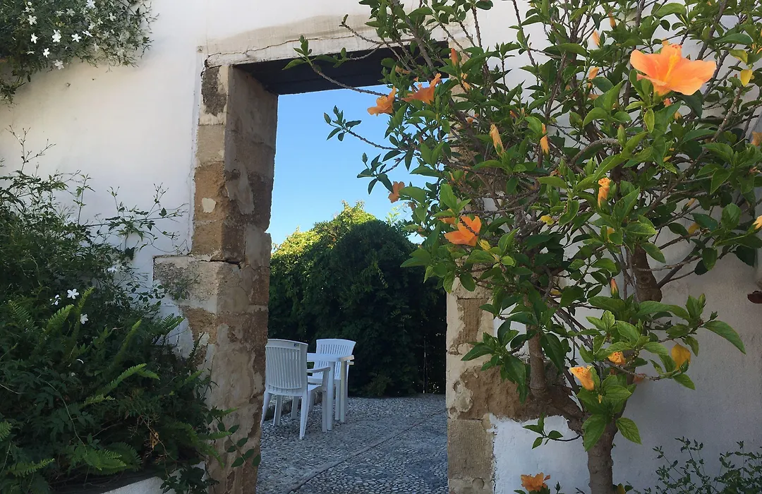Oasis Guesthouse-1