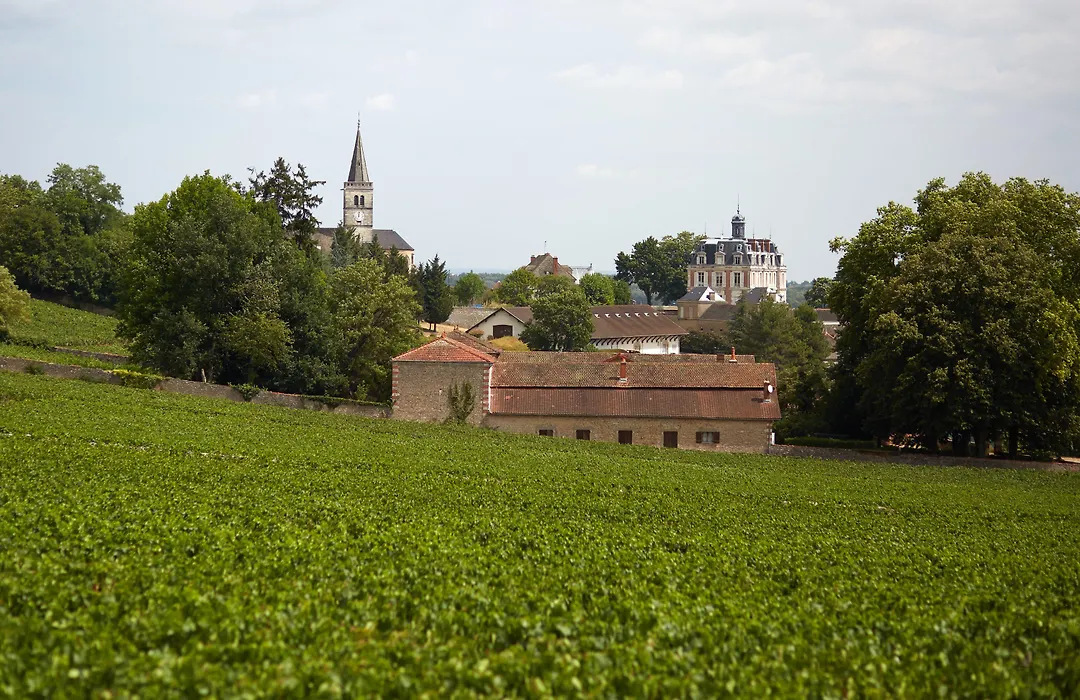 Chateau Saint-Michel - Cercle Des Grands Crus-1