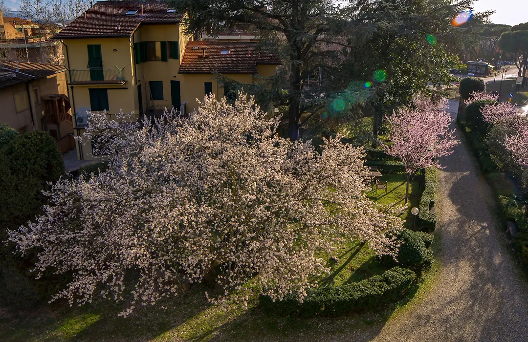 Dimora Salviati-1