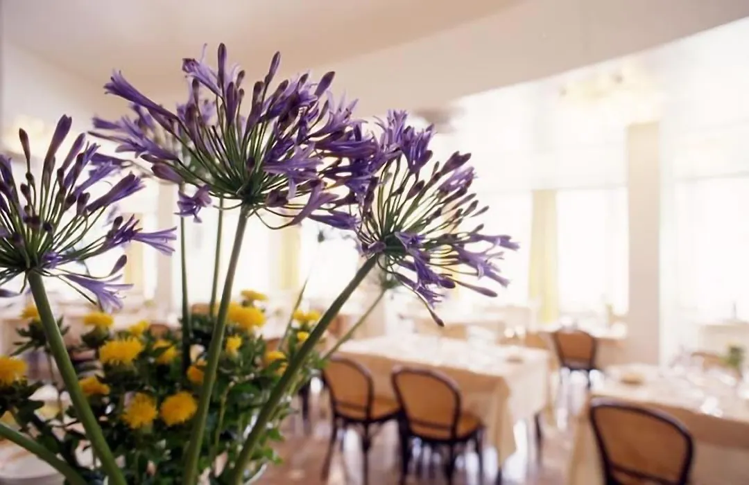Hotel Torremaura Fronte Mare Con Beach Club-1