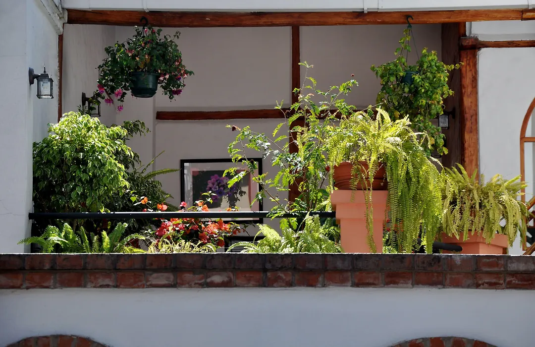 Boutique Hotel Casa Foch-1