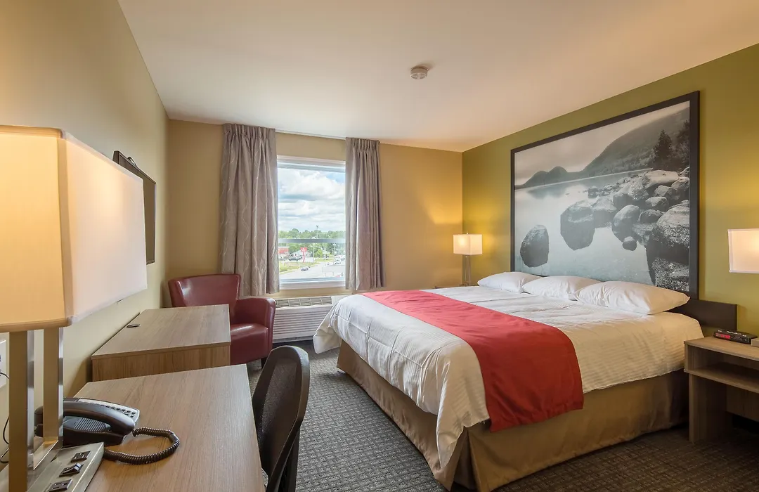 Super 8 by Wyndham Mont Laurier-1