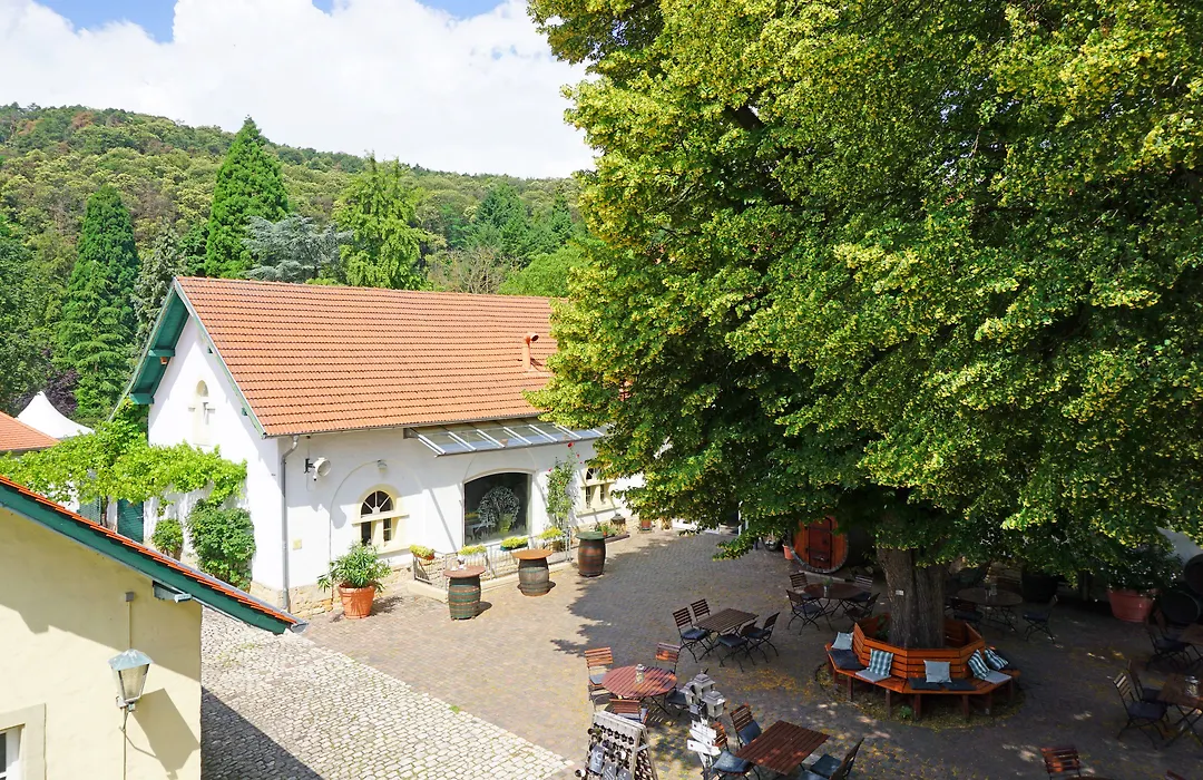 Hotel Annaberg-1