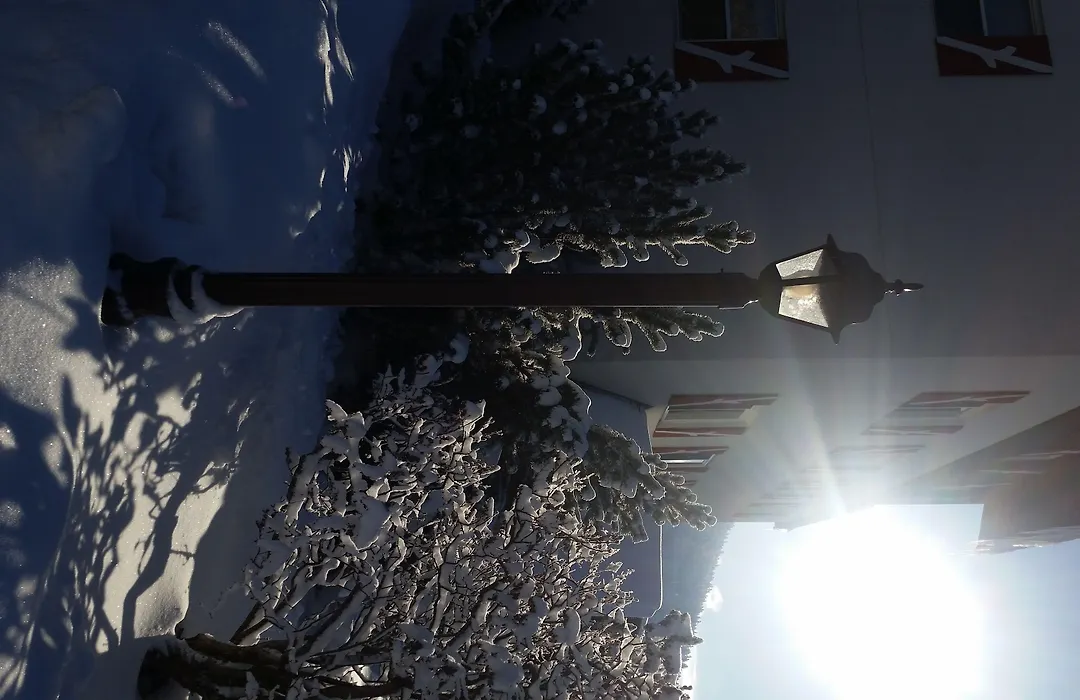 Mittersill Alpine Resort-1