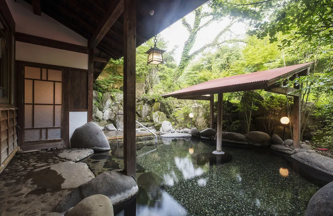 Yufuin Besso Shikisai Hotel-1