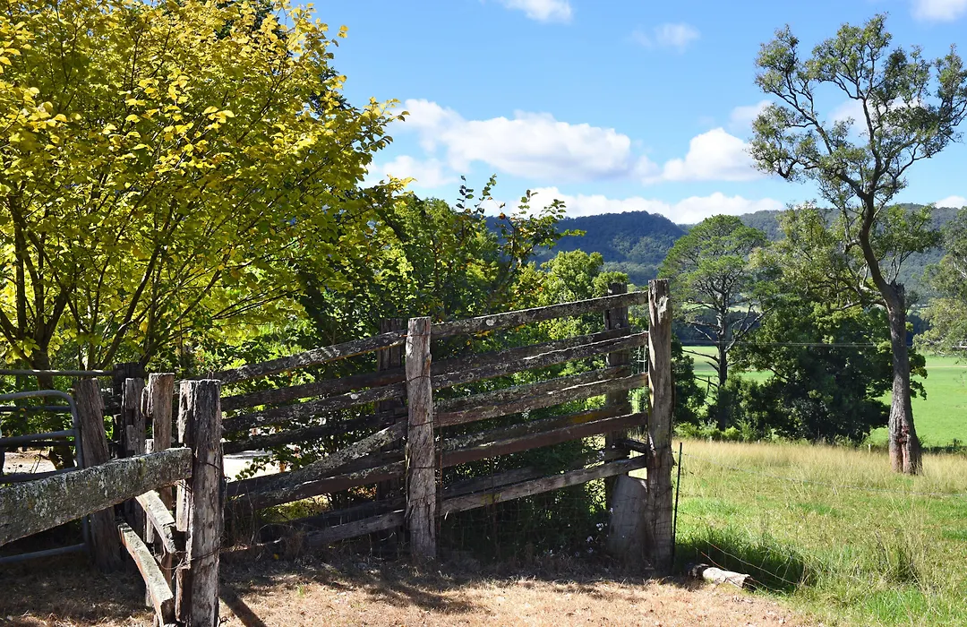 The Laurels B&B-1