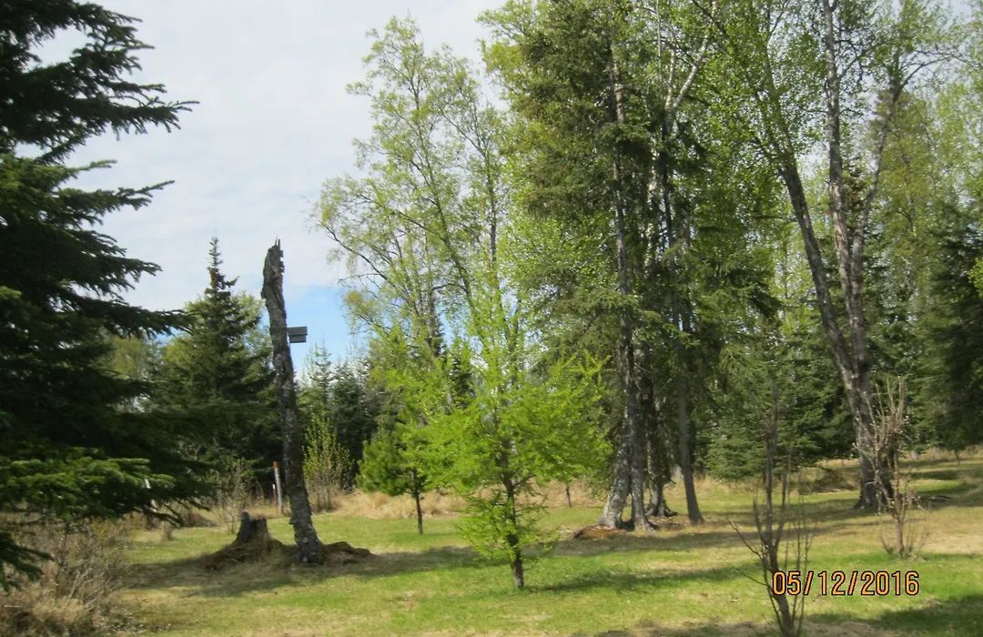 Whispering Winds Retreat B&B-1