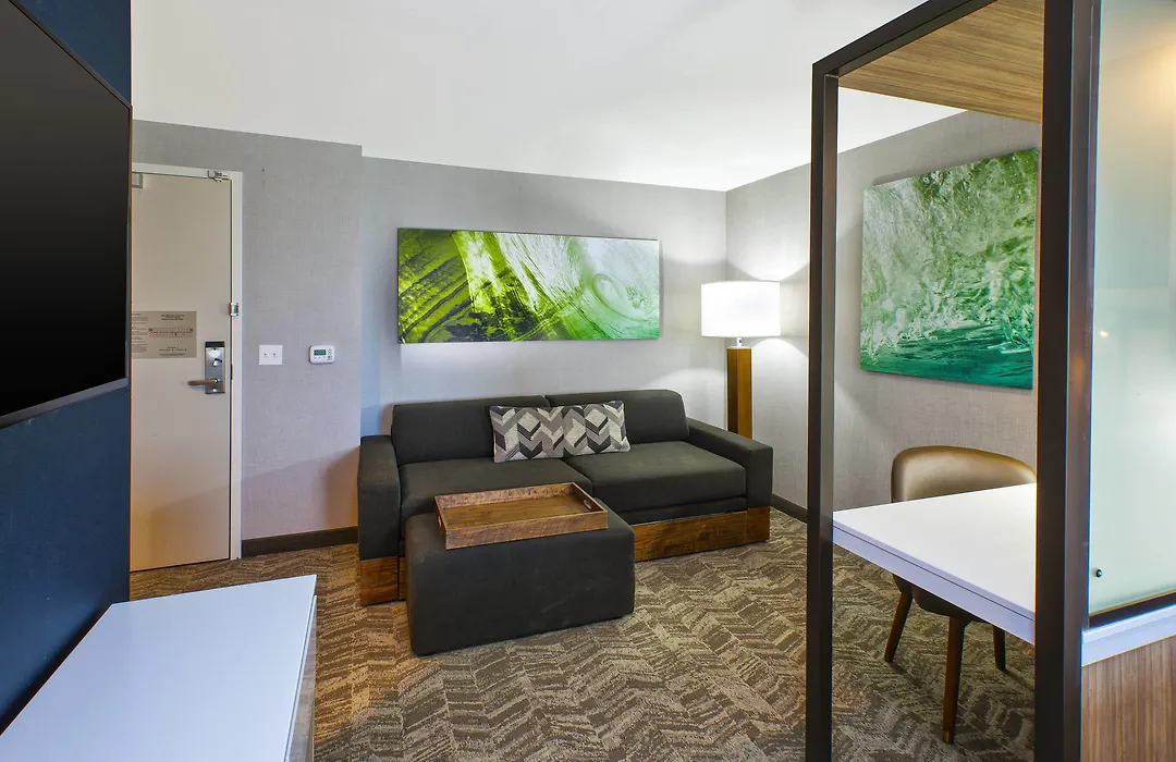 Springhill Suites By Marriott St. Joseph Benton Harbor-1