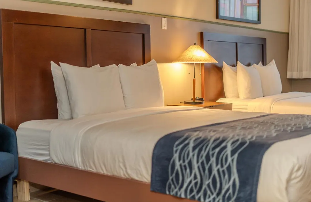 Comfort Inn & Suites-1