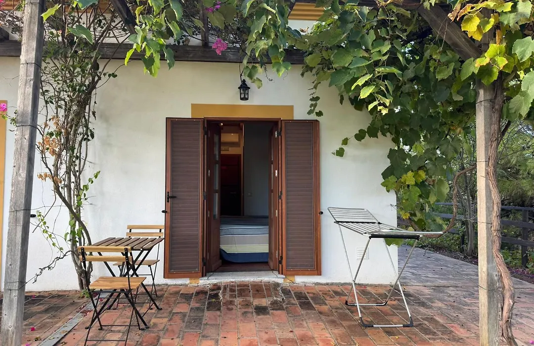 Casa De Campo Vale Do Asno-1