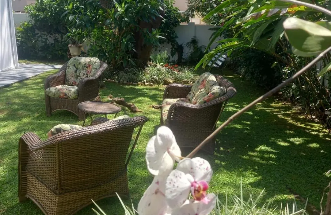 A Primeira Vista-1