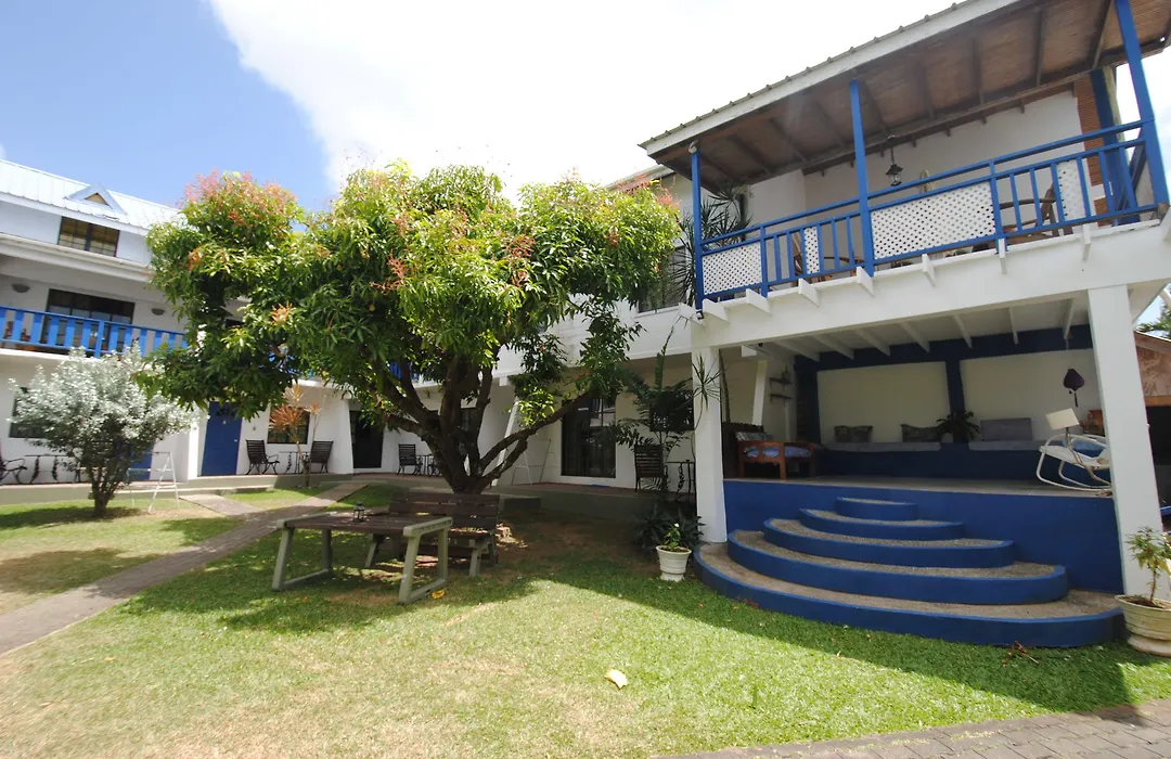 Bananaquit Tobago -Stay Near The Beach-1