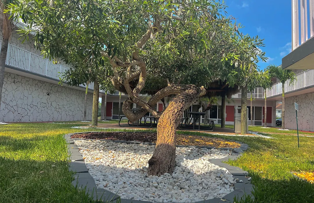 Garden Inn Homestead/Everglades/Gateway To Keys-1