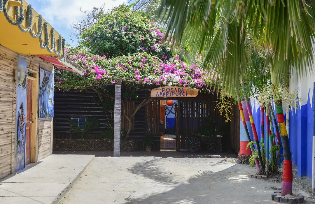 Posada Amaripucci-1