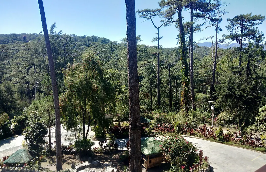 Log Cabin Hotel - Baguio-1