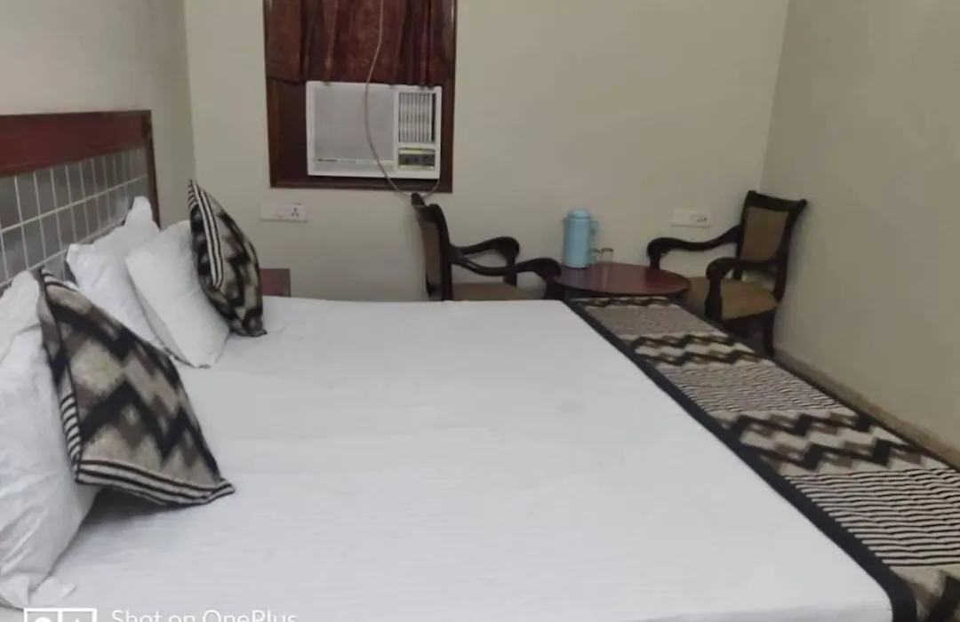 Hotel Ashish Palace-1