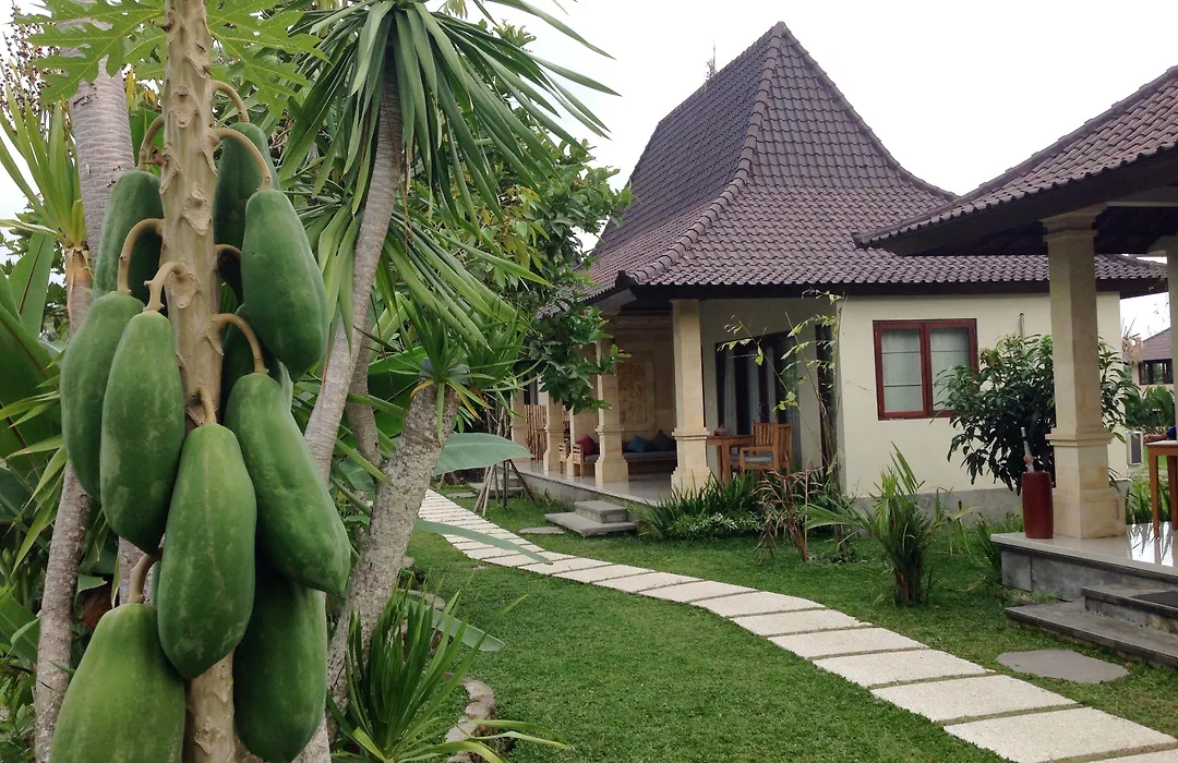 Masia Villa Ubud-1