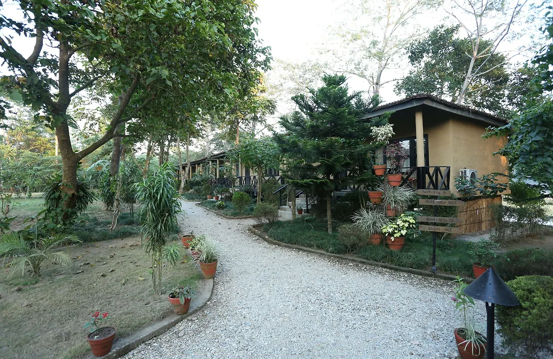 Jungle Villa Resort - Near Chitwan National Park-1