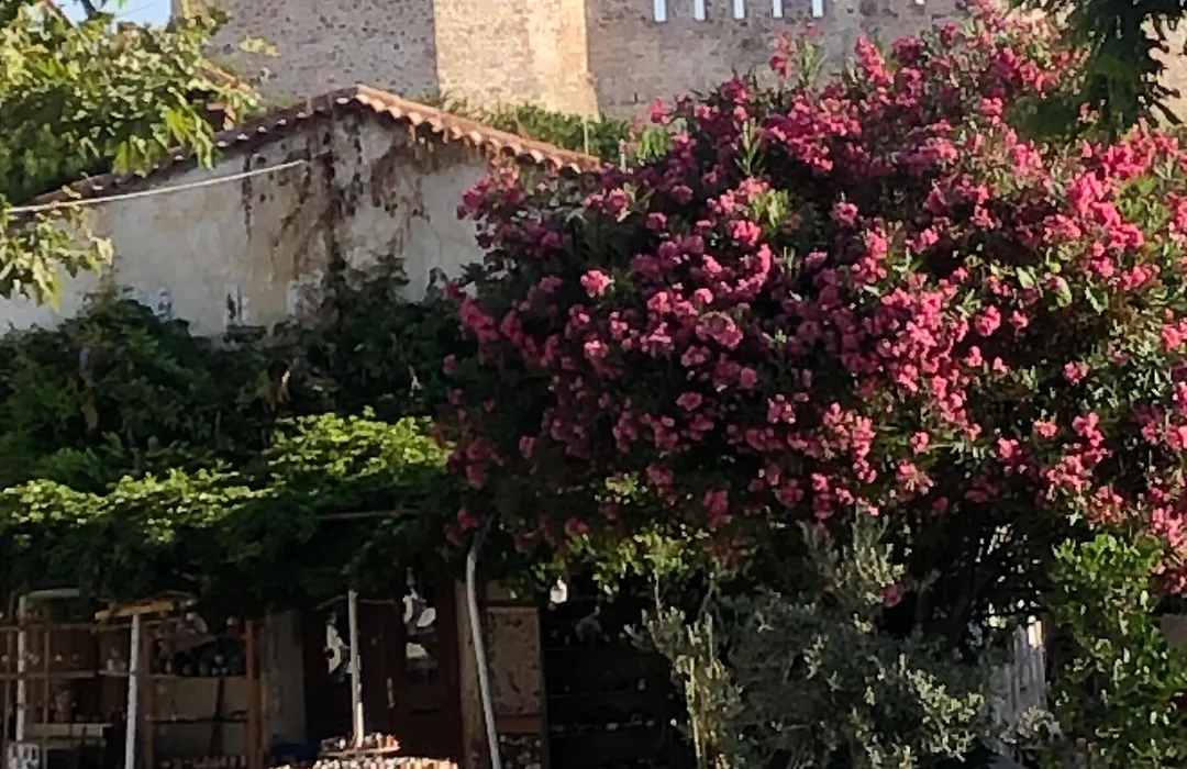 Hotel Katina-1