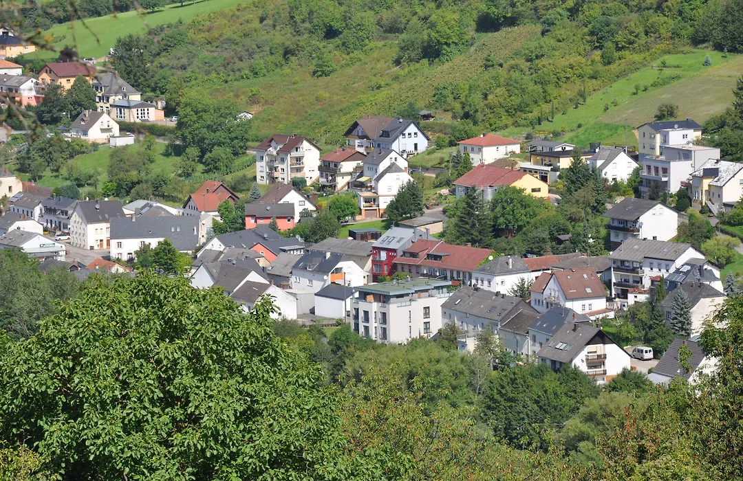 Johannishof Wein-Cafe & Gaestehaus-1