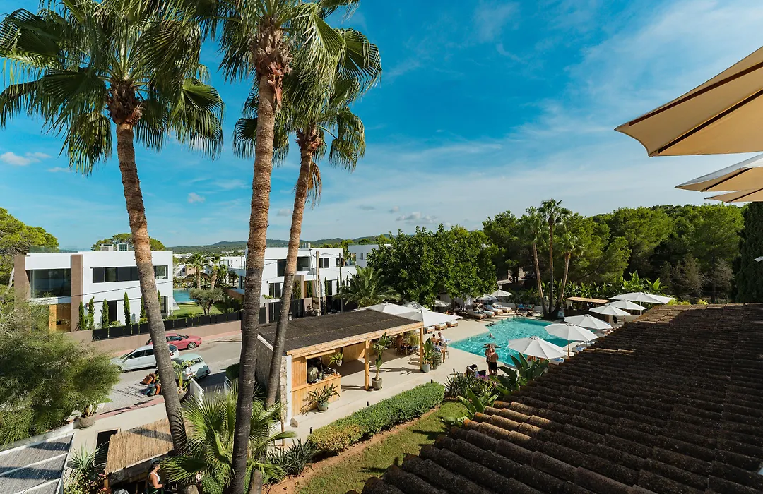 Hotel Boutique&Spa Las Mimosas Ibiza-1