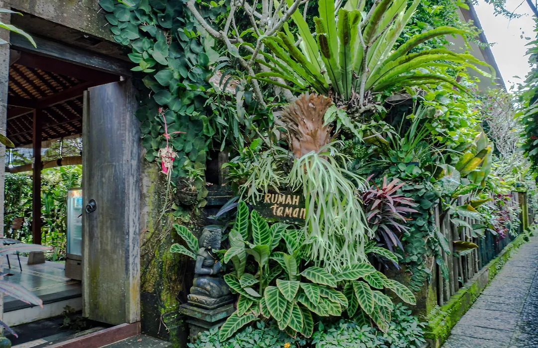 Rumah Taman-1