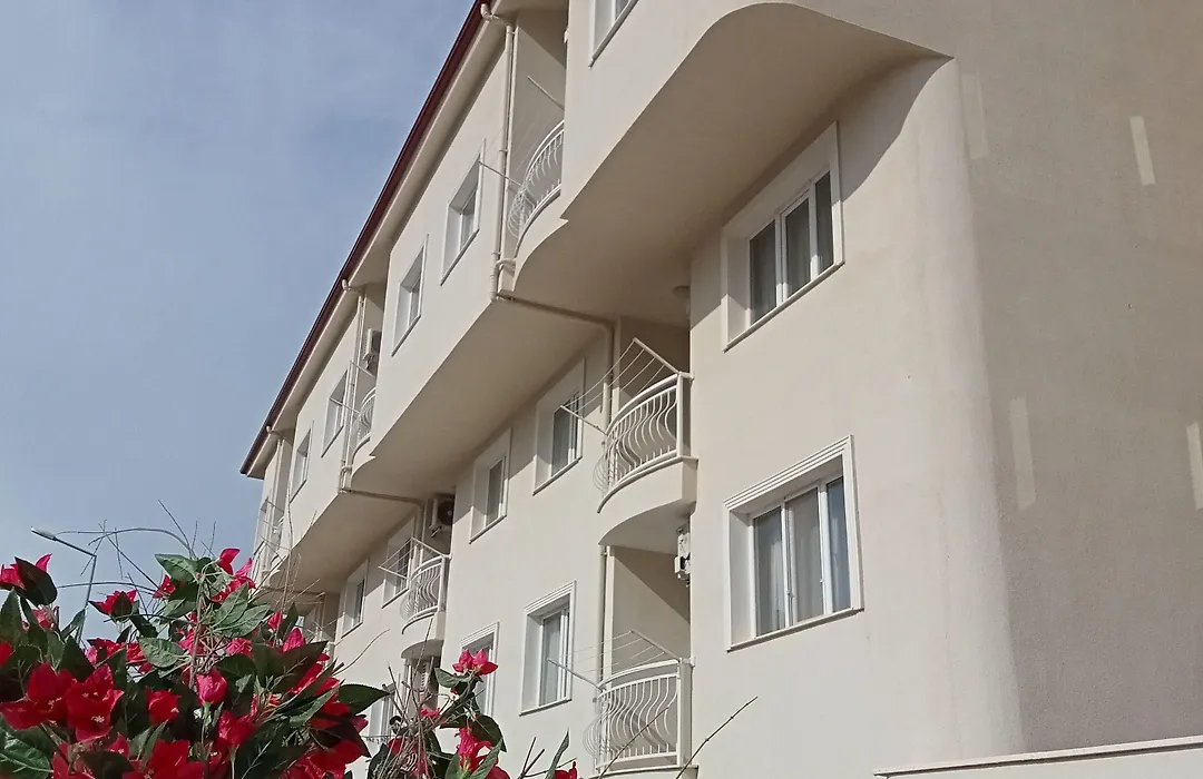 Nesa Palas-1