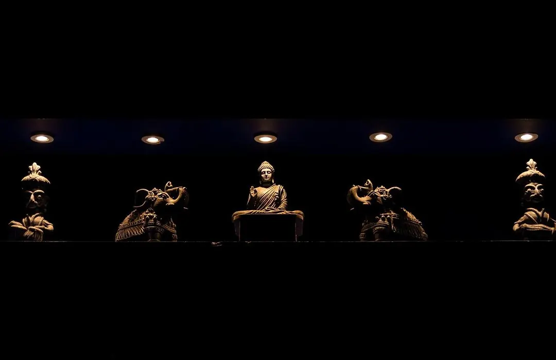 Panism Lifestyle-1