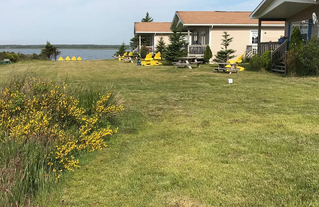 Whispering Waves Cottages-1