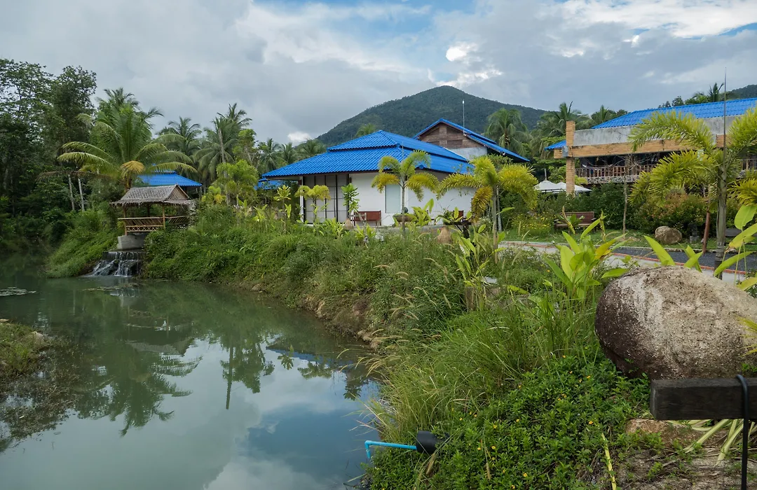 Wonderland Healing Center-1