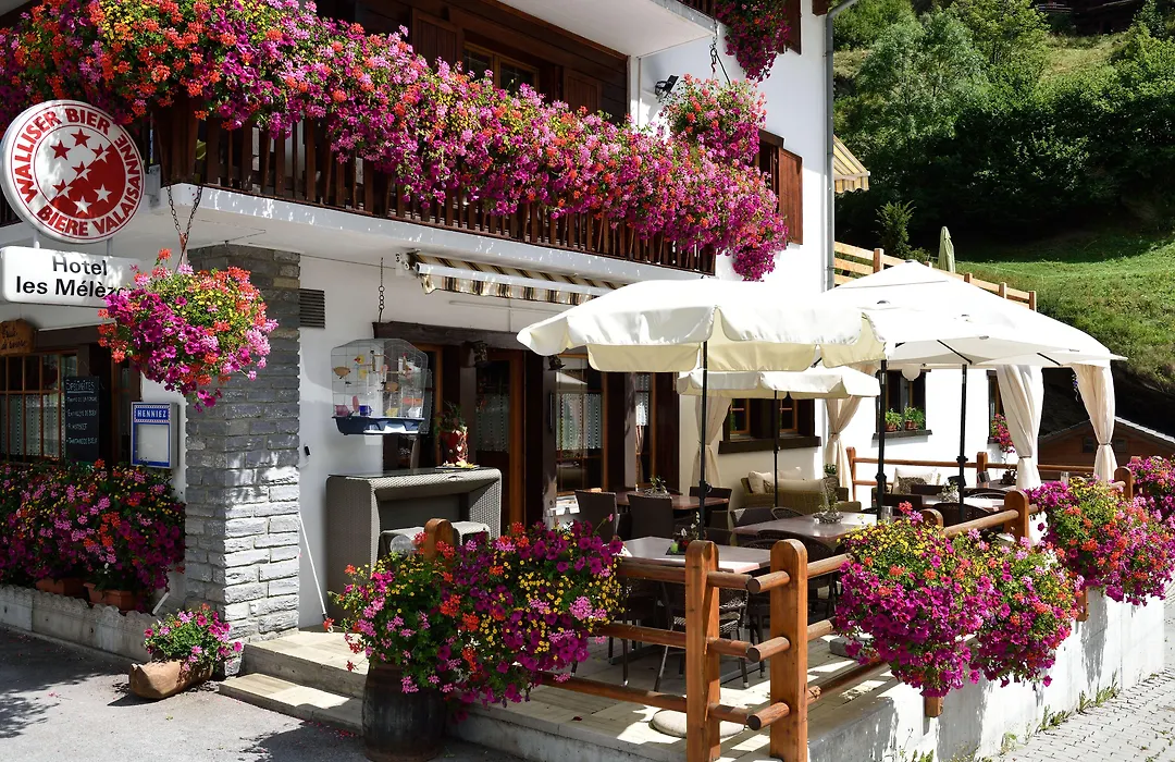 Hotel Les Melezes-1
