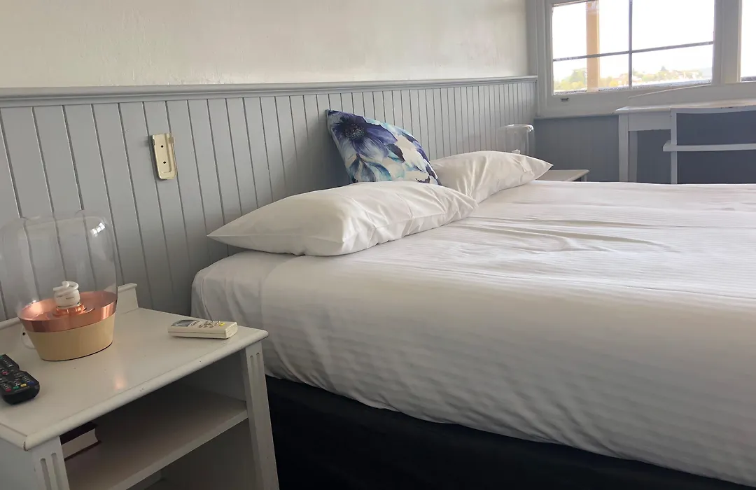Squid'S Ink Motel-1