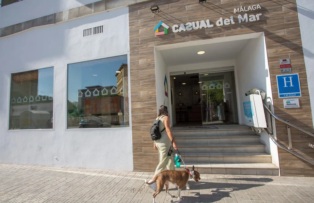 Casual Del Mar Malaga By Casual Hoteles-1