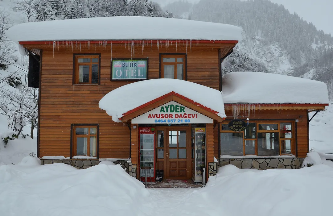 Ayder Avusor Hotel-1