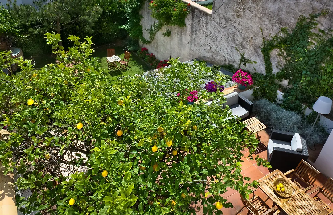 Hotel Casa Calella-1