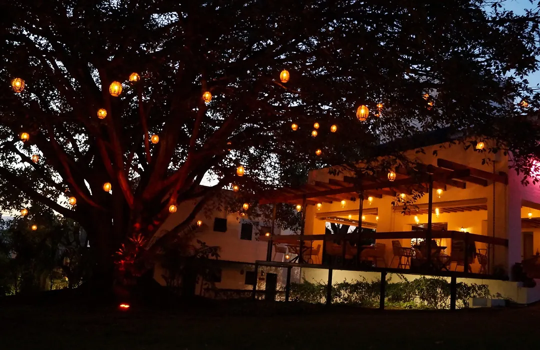 La Provence Restaurant & Hotel Boutique-1