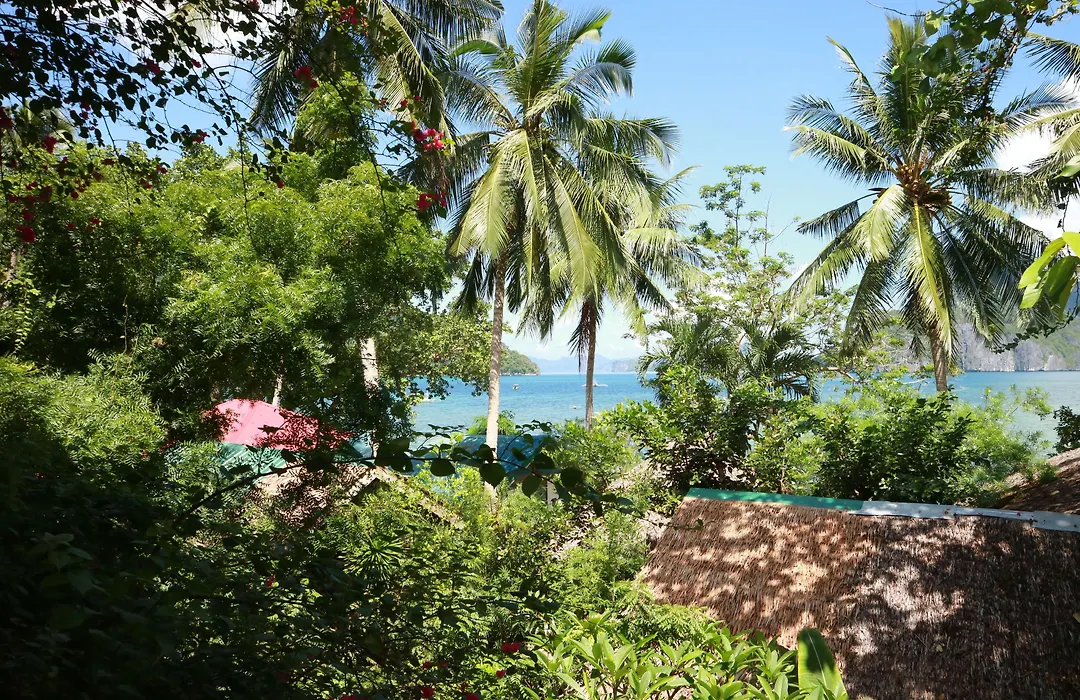 Golden Monkey Cottages-1