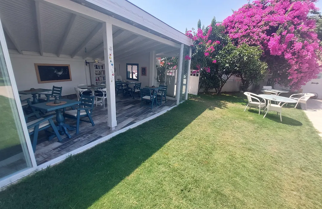 Grandma'S Garden-1