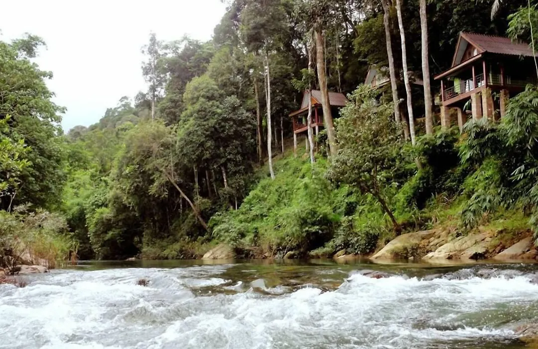 Khaosok Rainforest Resort-1