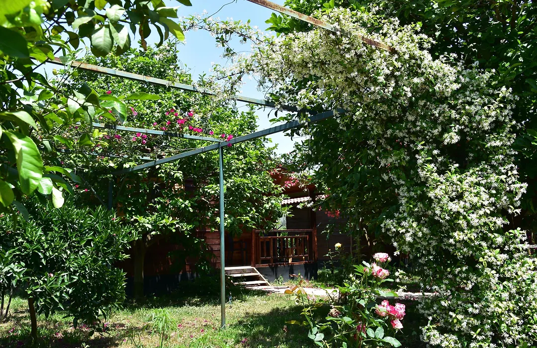 Lemon Garden Lodge-1