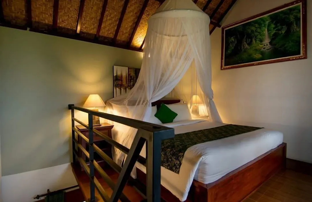 Sisin Ubud View-1
