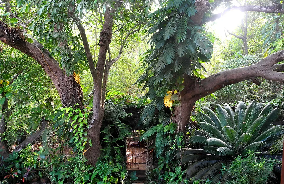 Marbella Guest House-1
