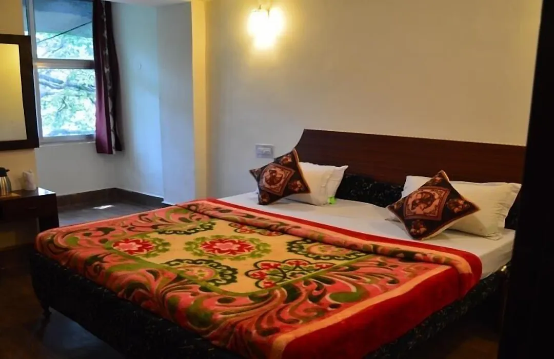Anamika Hotel-1