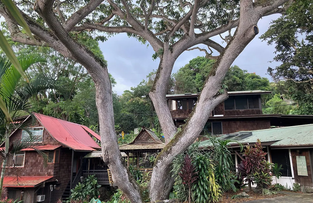 Hale Maluhia Country Inn-1