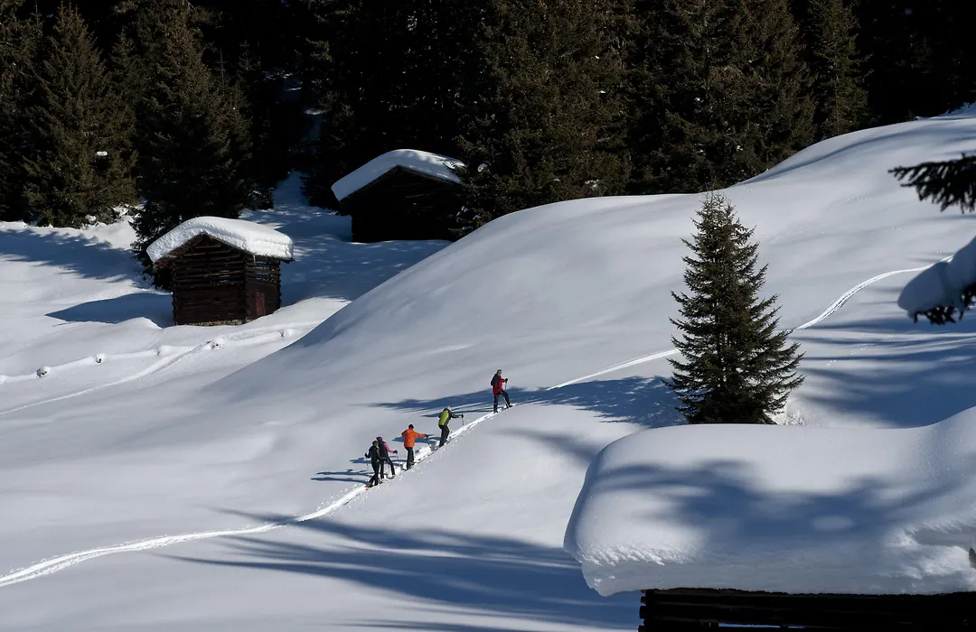 Apart Auhof-1