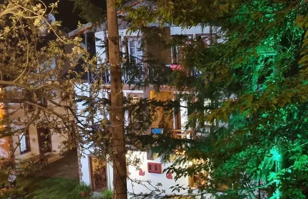 Abant Dört Mevsim Konağı Butik Otel-1